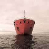 La spedizione era composta da 160 persone, salpate a bordo della rompighiaccio russa Akademik Tryoshnikov